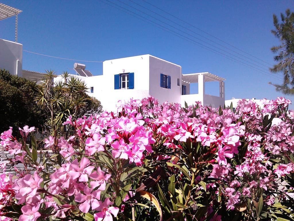 Nicos Studios & Apartments لوغاراس المظهر الخارجي الصورة