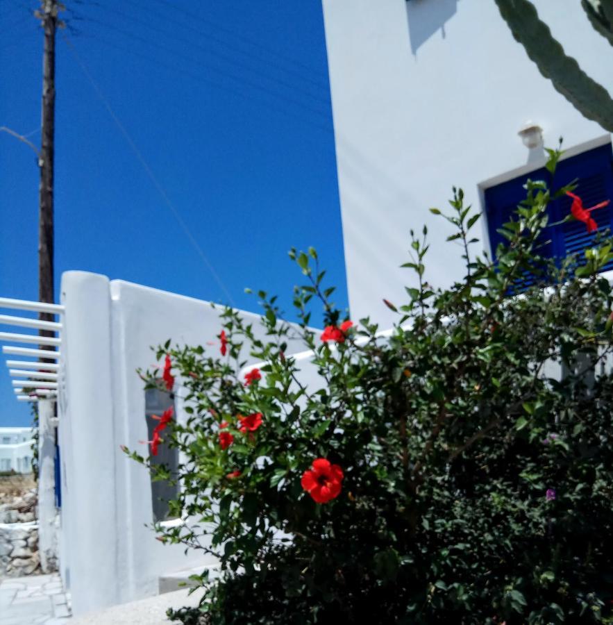 Nicos Studios & Apartments لوغاراس المظهر الخارجي الصورة