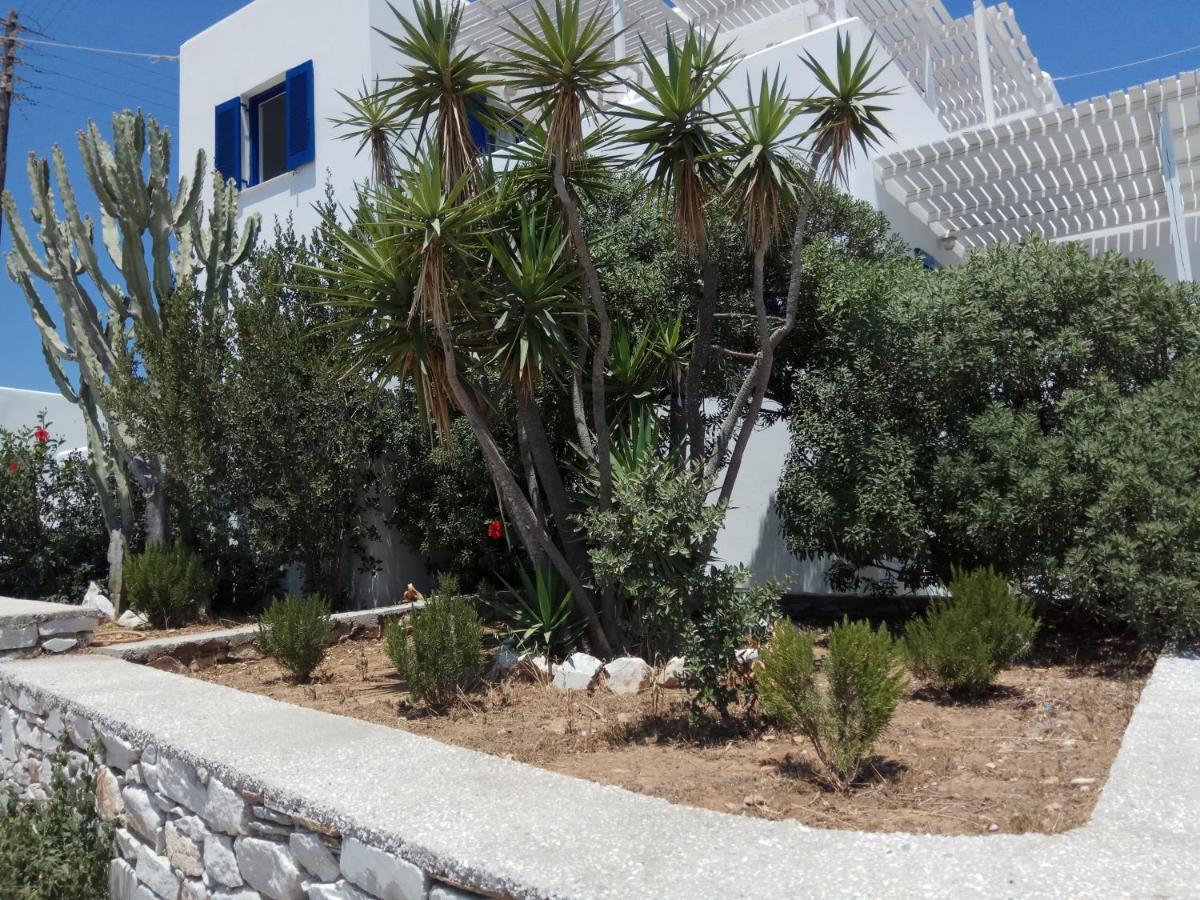 Nicos Studios & Apartments لوغاراس المظهر الخارجي الصورة